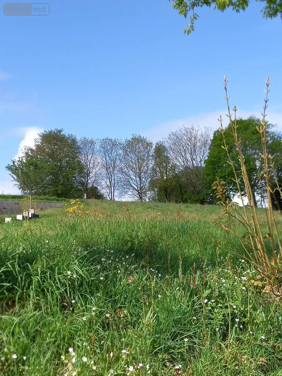 Terrain a batir a vendre Camors 56330 Morbihan 56 76860 euros 56080-962 002