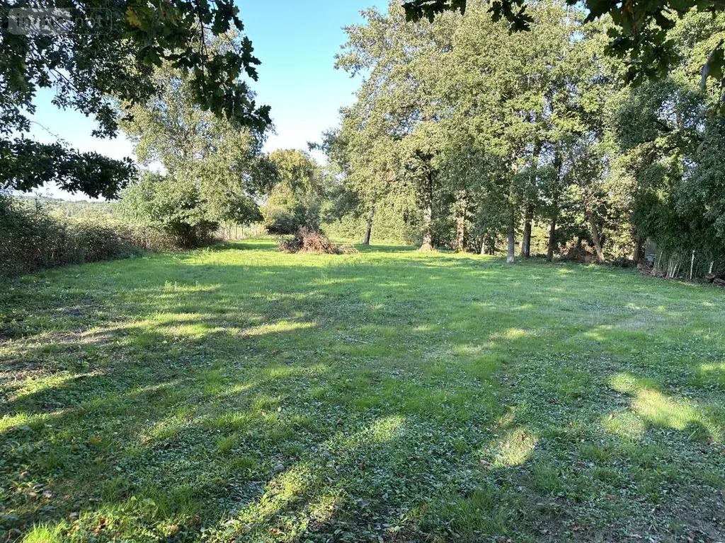 Terrains de loisirs bois etangs a vendre Saint-Georges-de-Montaigu 85600 Vendée 85 83900 euros 85020-1498 007