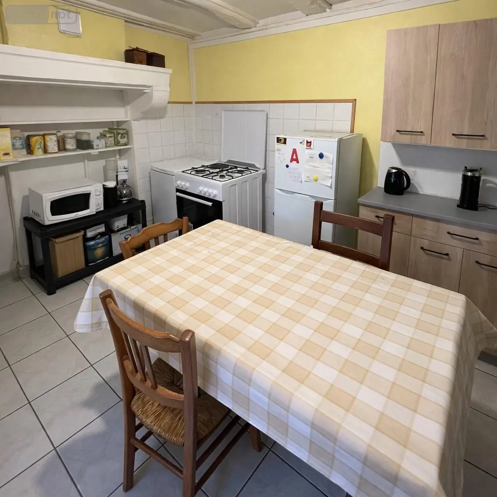 Viager immeuble de rapport Dole 39100 Jura 39 172 m2 50000 euros 39033-2547 003