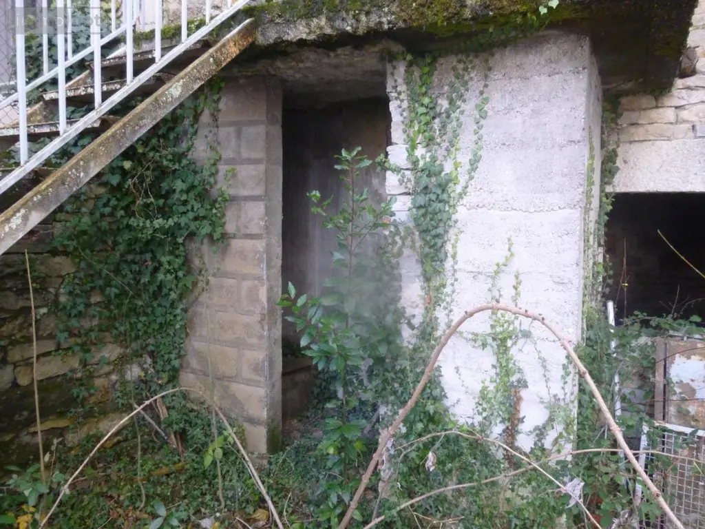 Divers a vendre Sault-Brénaz 01150 Ain 01 52 m2 1 pièce 45000 euros 01037-879 004