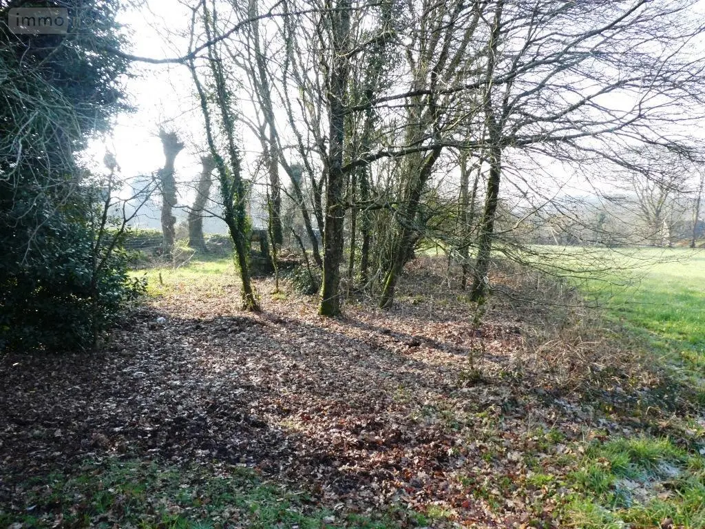 Terrain a batir a vendre Guern 56310 Morbihan 56 31980 euros 56075-2106 003