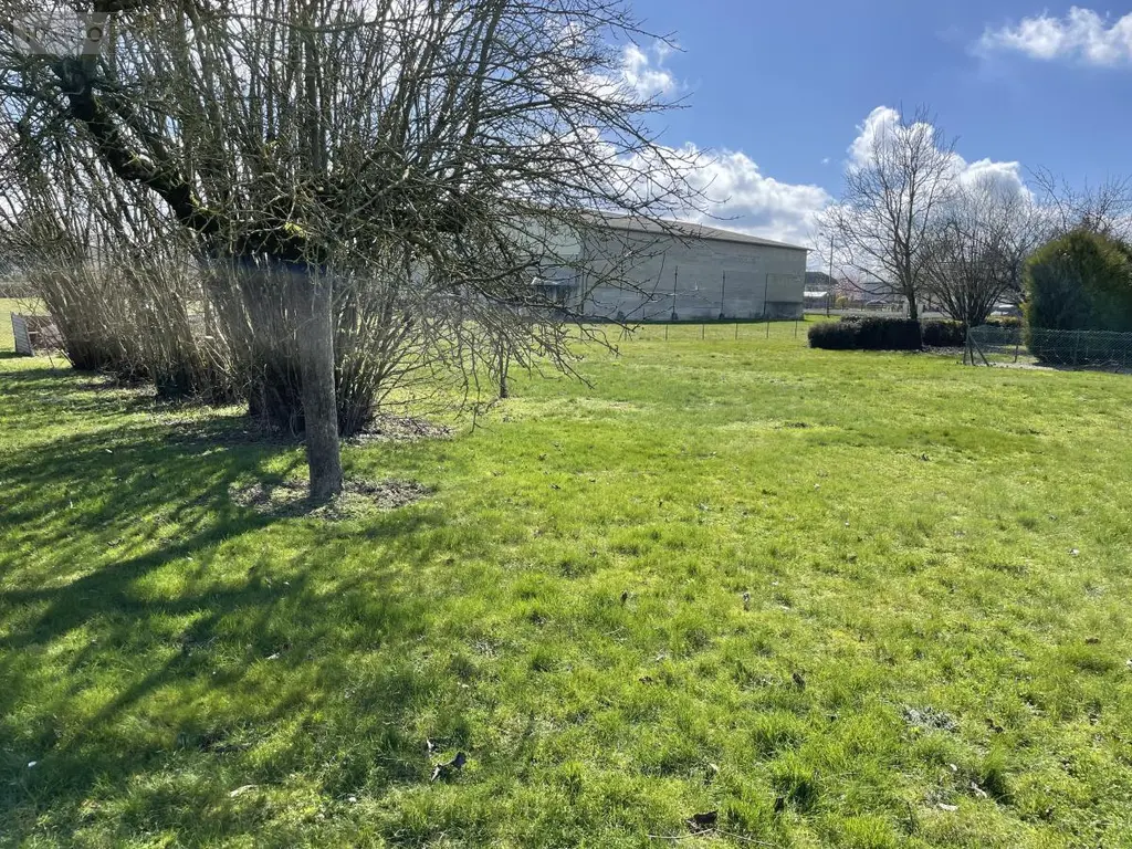 Terrain a batir a vendre Sommesous 51320 Marne 51 39500 euros 51046-2554 003