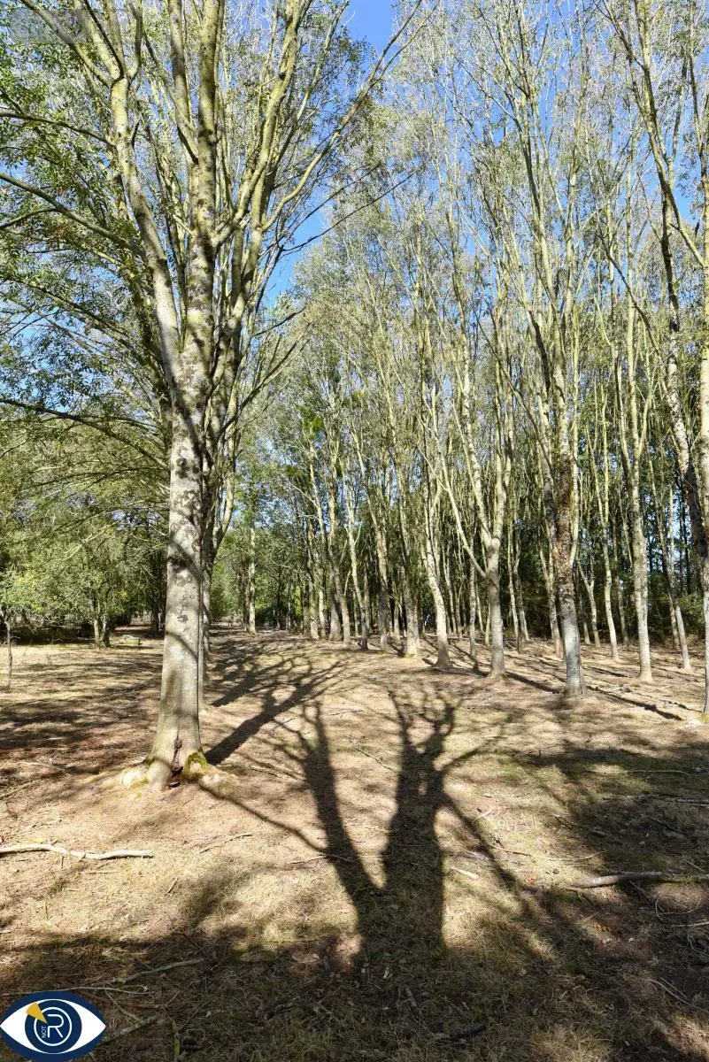 Terrains de loisirs bois etangs a vendre Vaiges 53480 Mayenne 53 69000 euros 53004-1365 008