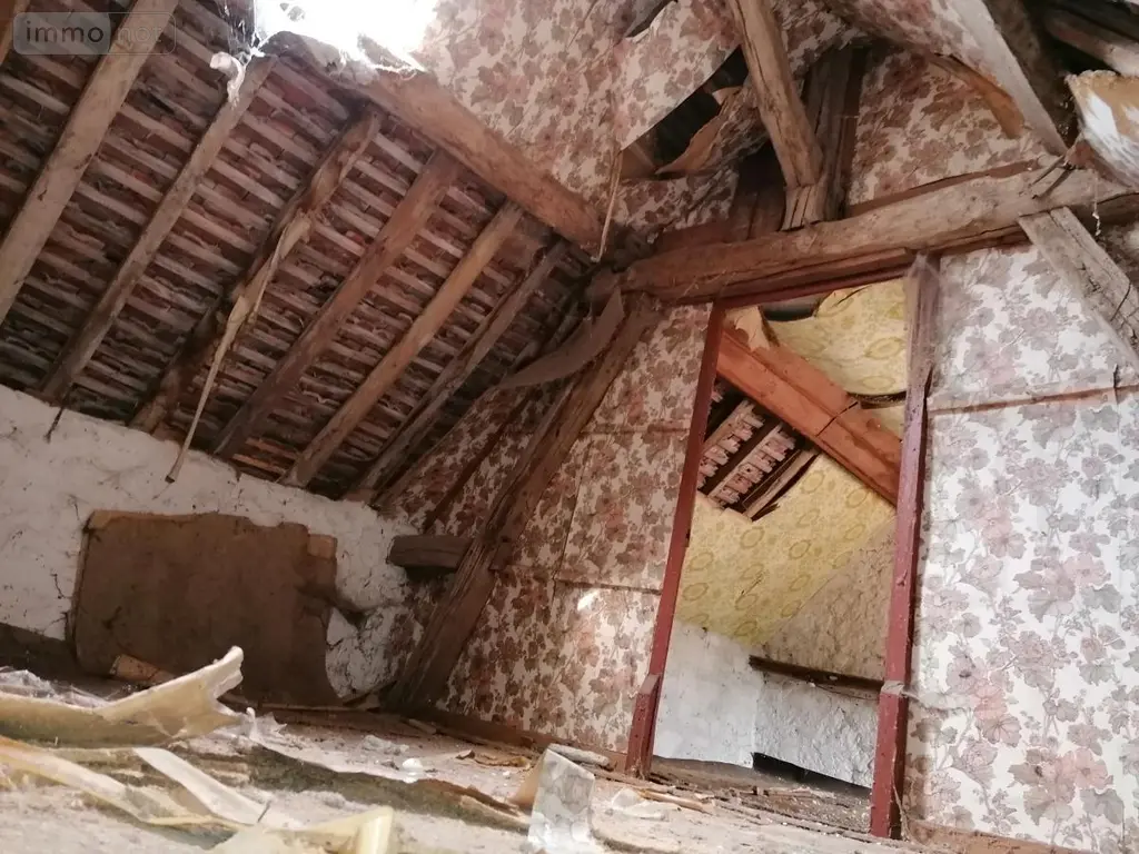 Maison a vendre Buxeuil 37160 Vienne 86 34 m2 2 pièces 47250 euros 37082-320 005