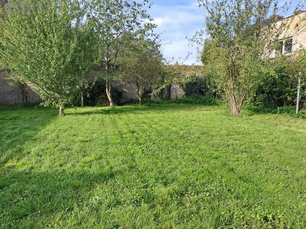 Maison a vendre Vieille-Église 62162 Pas-de-Calais 62 122 m2 6 pièces 287000 euros 62098-2469 003