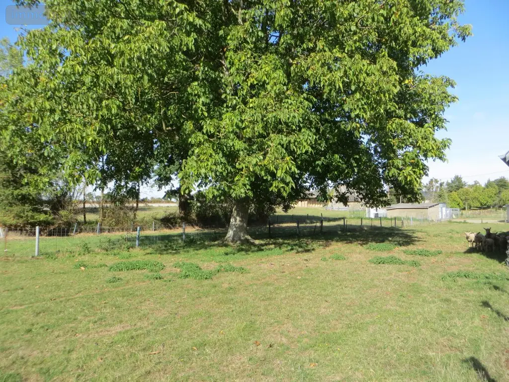 Maison a vendre Mesnil-Clinchamps 14380 Calvados 14 63 m2 3 pièces 85600 euros 14076-5983 010
