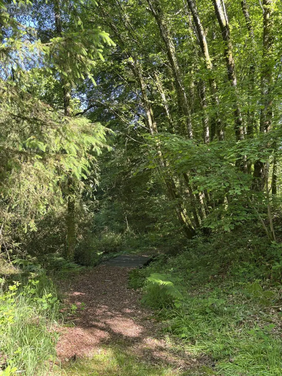 Terrains de loisirs bois etangs a vendre Noues de Sienne 14380 Calvados 14 168800 euros 14076-5956 015
