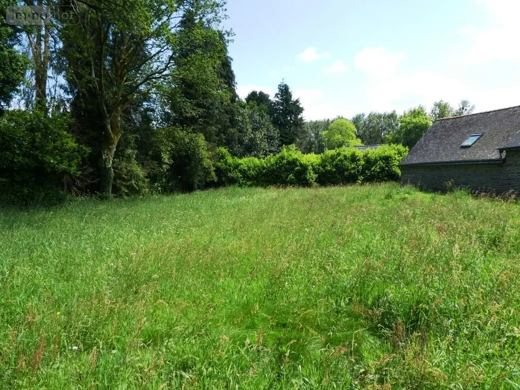 Maison a vendre Lignol 56160 Morbihan 56 77 m2 4 pièces 137100 euros 56075-2382 018