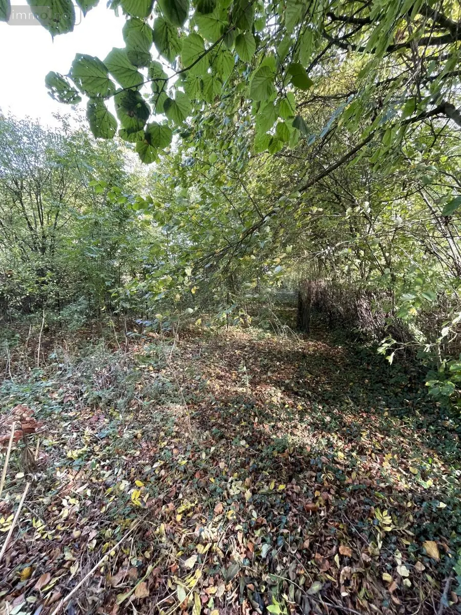 Terrain a batir a vendre Camps-en-Amiénois 80540 Somme 80 30000 euros 80004-1148 004