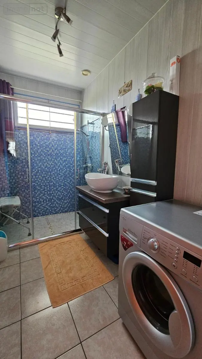 Viager maison Fréteval 41160 Loir-et-Cher 41 80 m2 4 pièces 40000 euros 41050-2782 008