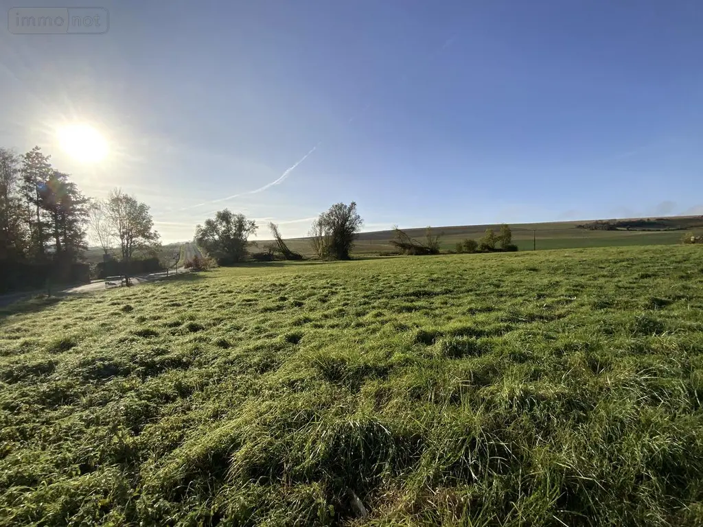 Terrain a batir a vendre Poilly 51170 Marne 51 60000 euros 51066-1602 001