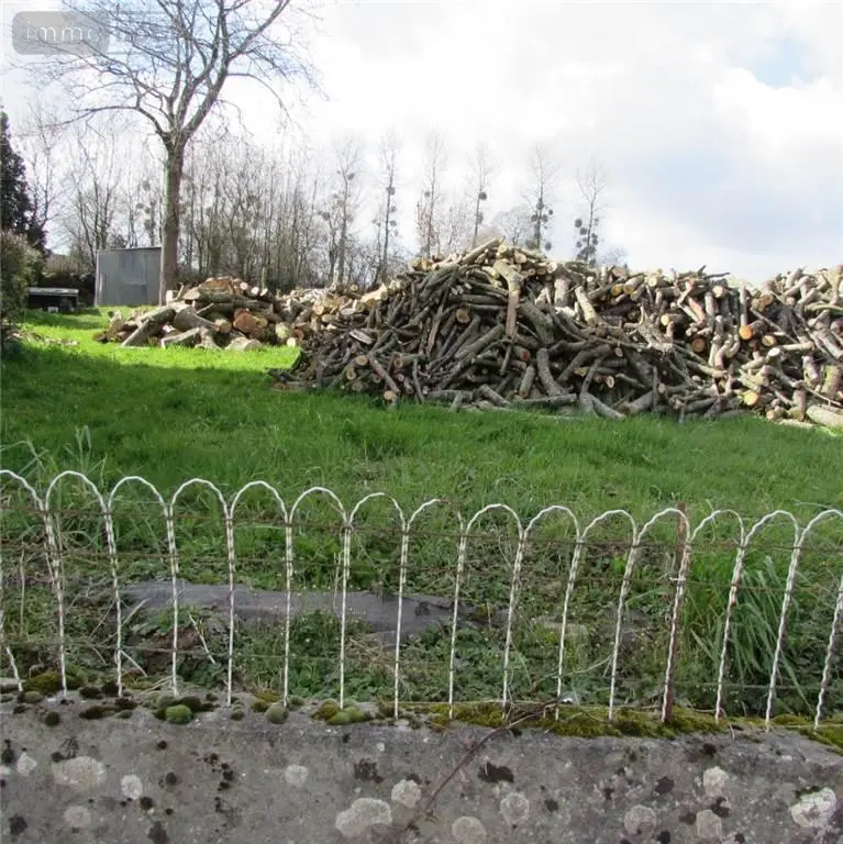 Terrains de loisirs bois etangs a vendre Chérencé-le-Héron 50800 Manche 50 6800 euros 50038-2565 003