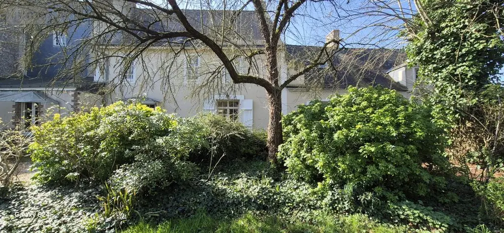 Maison a vendre Candé 49440 Maine-et-Loire 49 259 m2 9 pièces 280800 euros 49095-1665 003