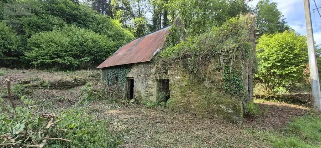 Maison a vendre Larré 56230 Morbihan 56 74 m2 53500 euros 56013-879 005