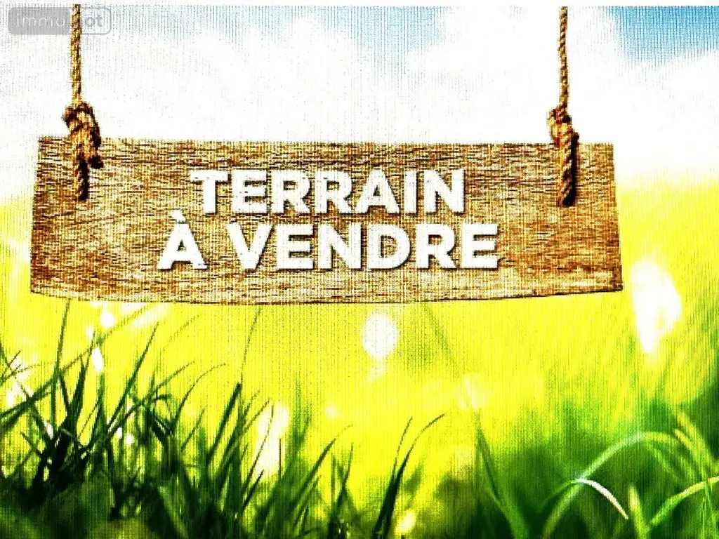 Terrain a batir a vendre Pouillé 41110 Loir-et-Cher 41 13000 euros 41033-1686 001