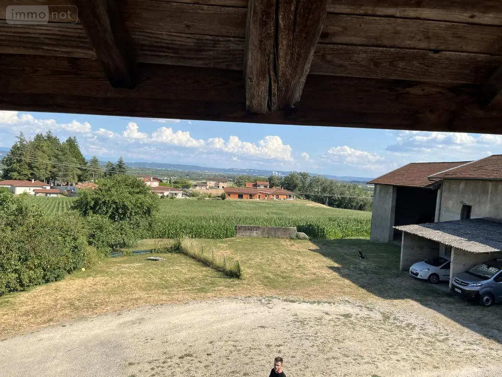Maison a vendre Villieu-Loyes-Mollon 01800 Ain 01 229 m2 11 pièces 625000 euros 01067-994 008
