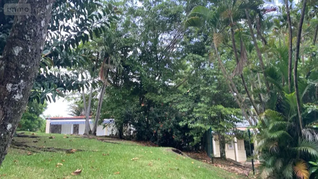 Maison a vendre Fort-de-France 97200 Martinique 972 249 m2 1050000 euros 97204-397 004