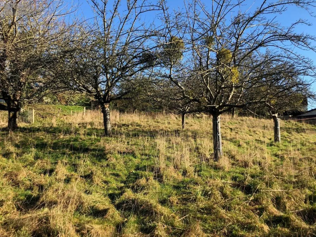Terrain a batir a vendre Roullours 14500 Calvados 14 38000 euros 14076-4986 002