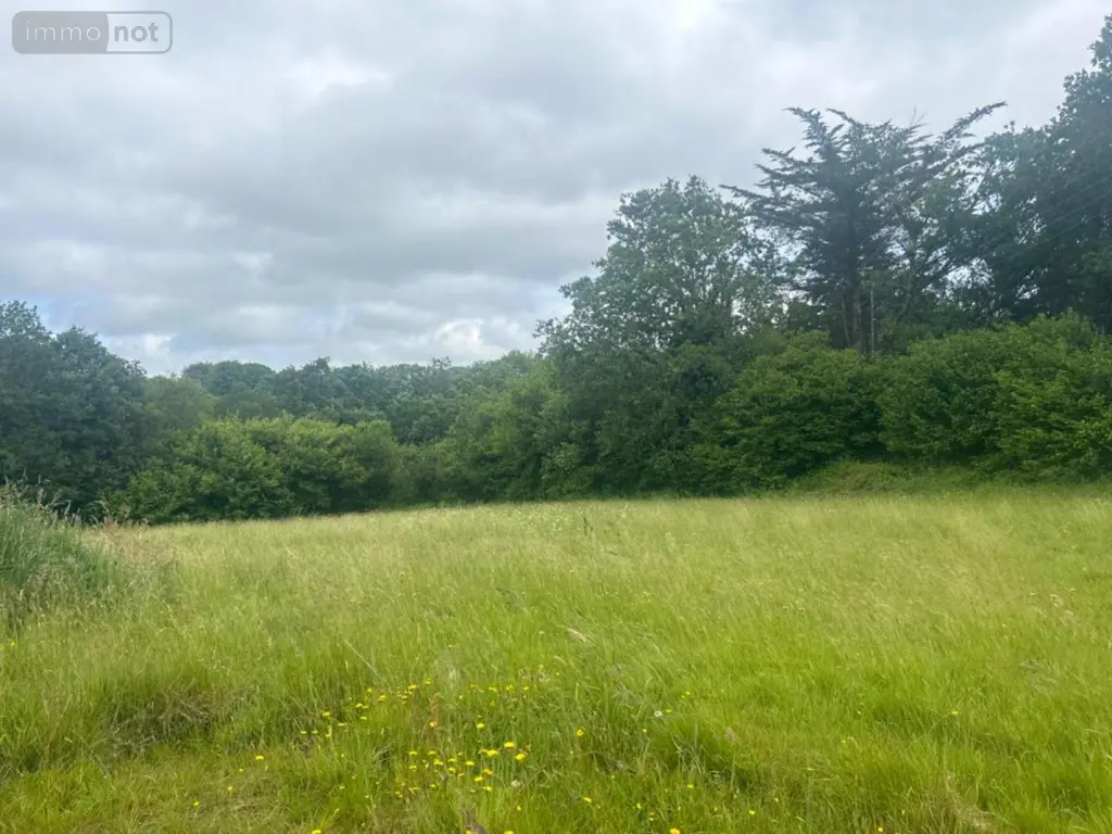Terrain a batir a vendre Berrien 29690 Finistère 29 39500 euros 29064-2784 004