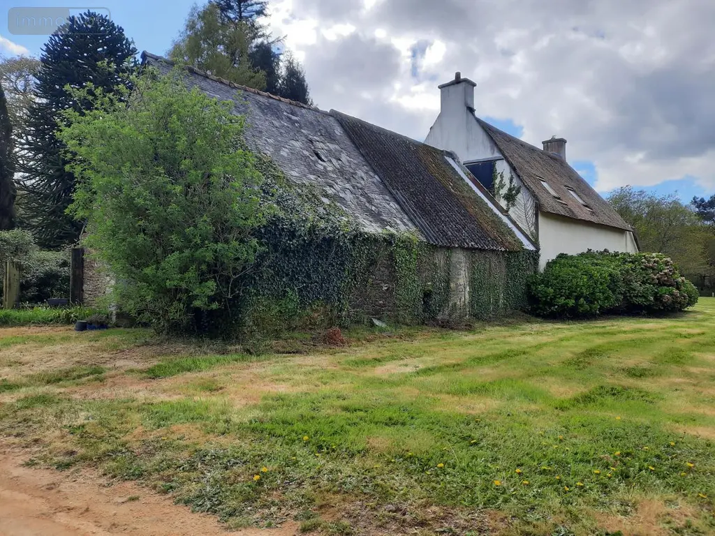 Maison a vendre Moustoir-Ac 56500 Morbihan 56 97 m2 619372 euros 56005-710 007