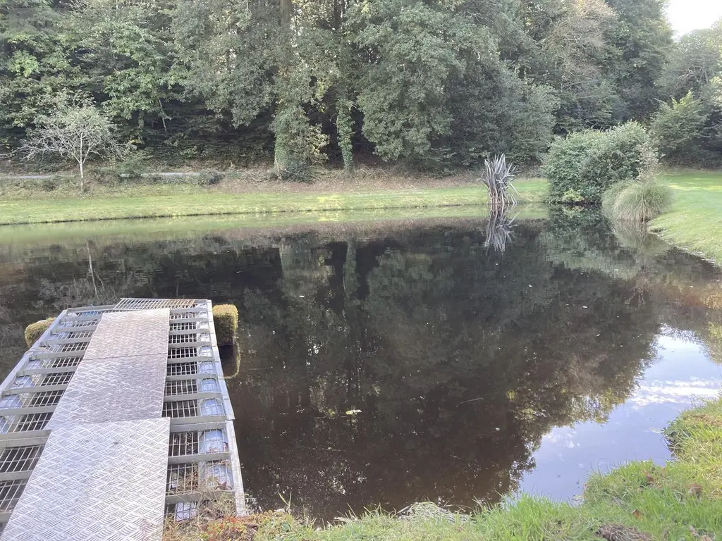 Terrains de loisirs bois etangs a vendre Melrand 56310 Morbihan 56 32400 euros 56064-1447 006