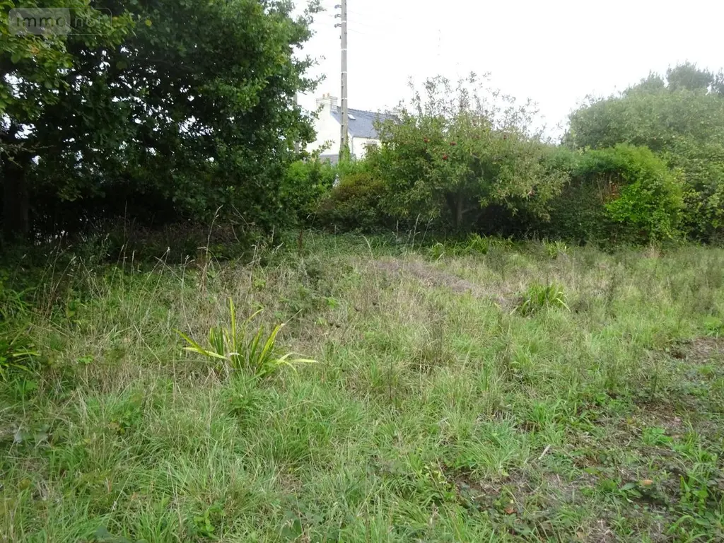 Terrain a batir a vendre Lampaul-Plouarzel 29810 Finistère 29 84080 euros 29058-1777 002