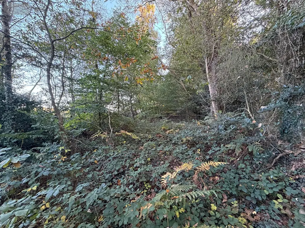 Terrain a batir a vendre Guilliers 56490 Morbihan 56 3532 m2 4900 euros 10 002