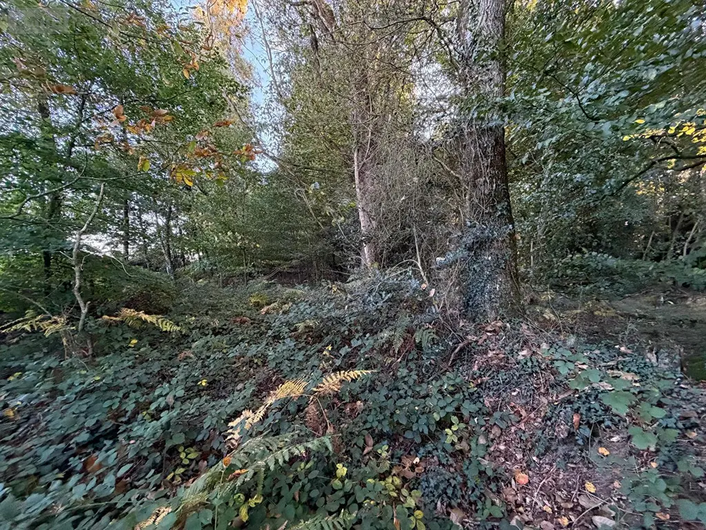 Terrain a batir a vendre Guilliers 56490 Morbihan 56 3532 m2 4900 euros 10 006