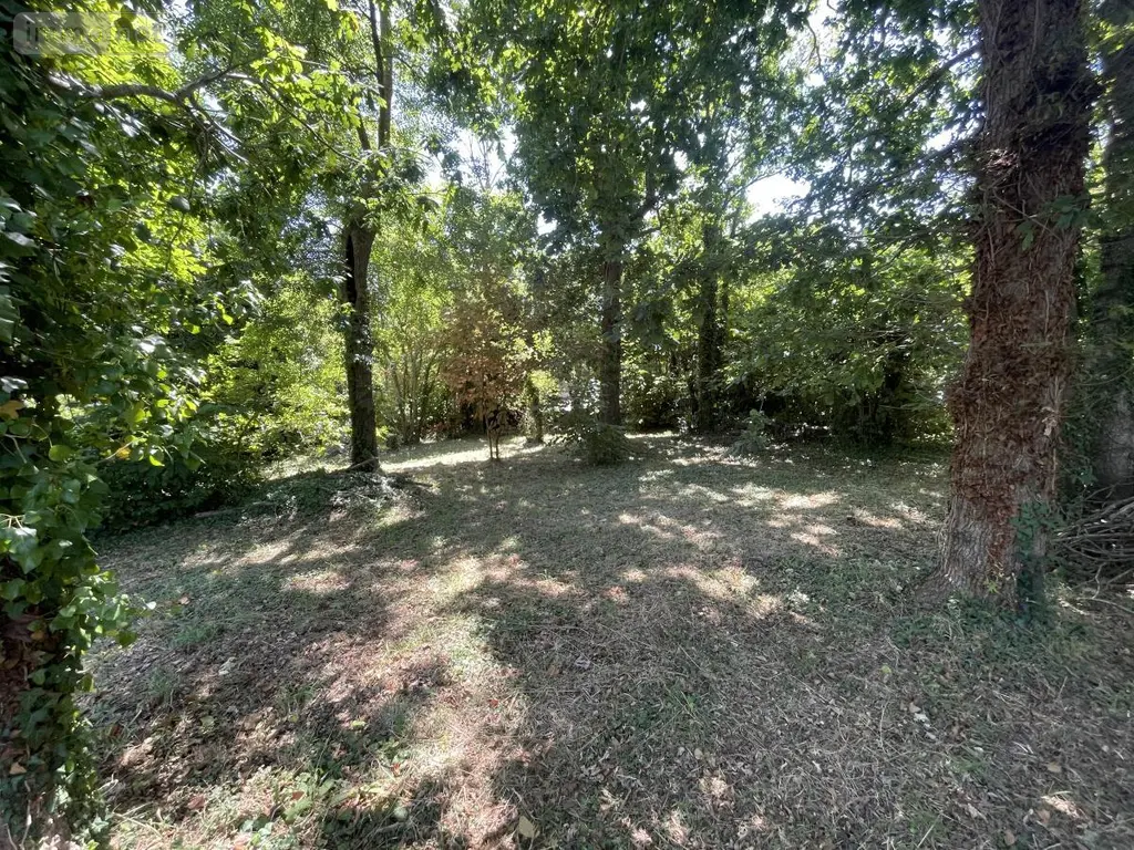 Terrain a batir a vendre Névez 29920 Finistère 29 395960 euros 29118-1460 002