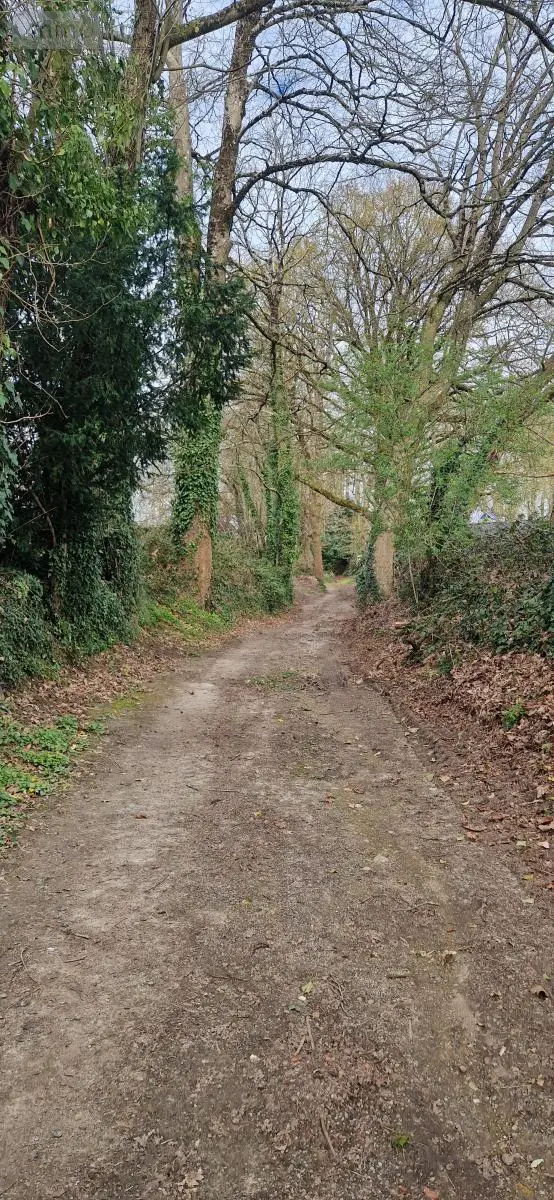 Terrain a batir a vendre Pontivy 56300 Morbihan 56 85085 euros 56062-2303 003