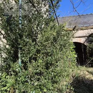 Maison a vendre Candé 49440 Maine-et-Loire 49 259 m2 9 pièces 280800 euros 49095-1665 013