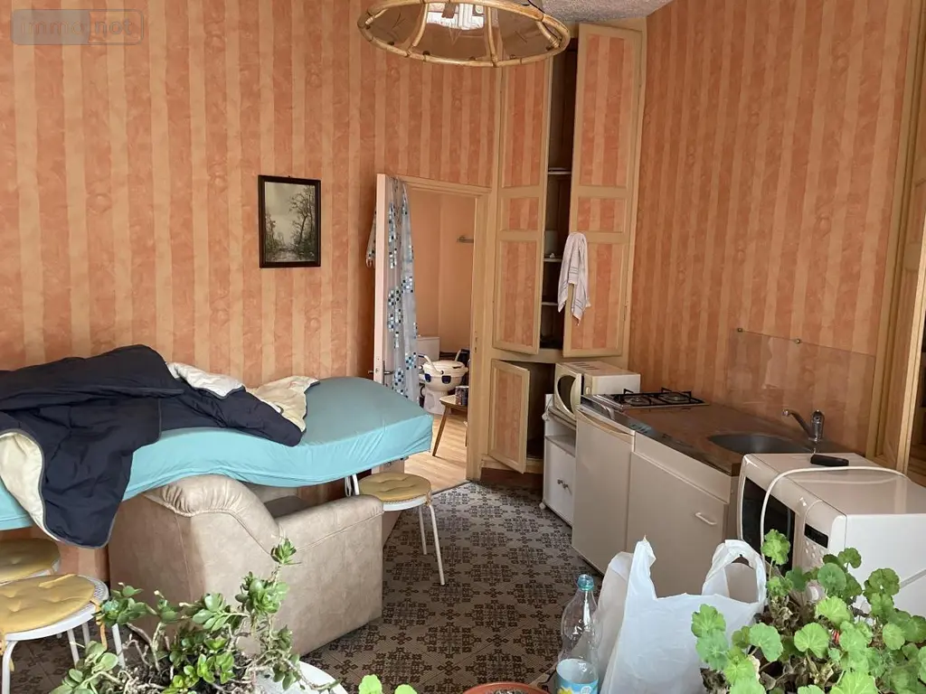Viager maison Solesmes 59730 Nord 59 160 m2 9 pièces 40000 euros 59191-5587 017