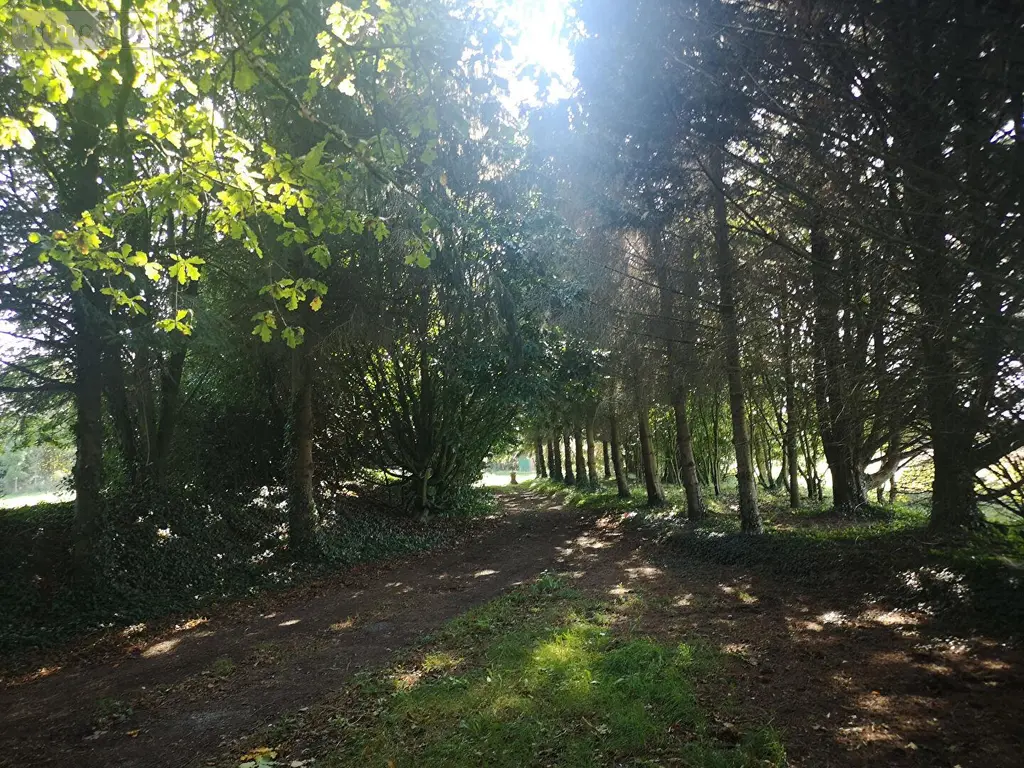 Maison a vendre Pleine-Fougères 35610 Ille-et-Vilaine 35 200 m2 6 pièces 935160 euros MA555 015