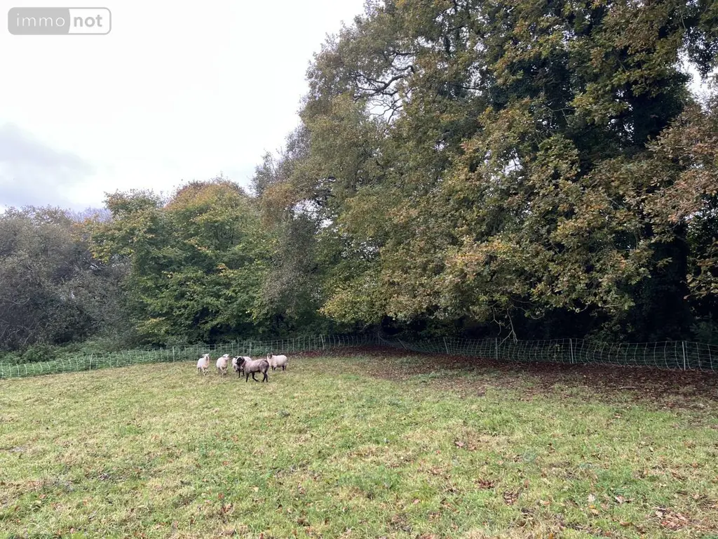 Maison a vendre Plésidy 22720 Côtes-d'Armor 22 80 m2 3 pièces 122920 euros 22064-1160 007