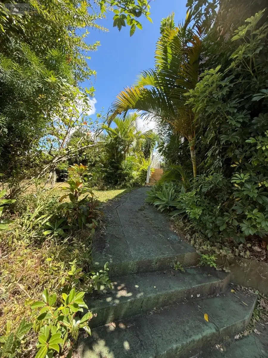 Maison a vendre Le Tampon 97430 La Réunion 974 163 m2 7 pièces 624000 euros 97410-721 017