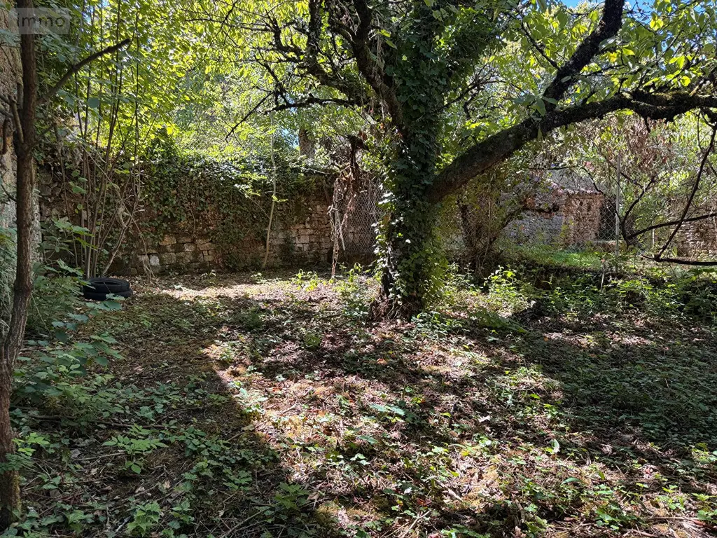 Maison a vendre Camboulit 46100 Lot 46 79 m2 4 pièces 69000 euros MAIS127 003