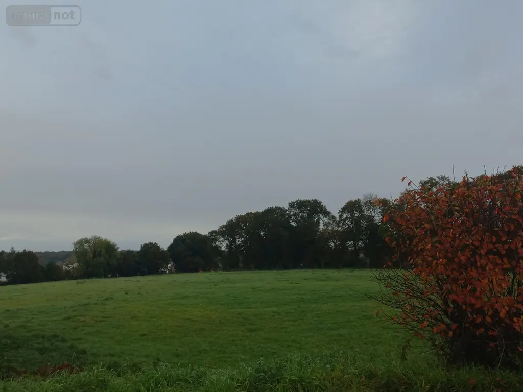 Terrain a batir a vendre Plouay 56240 Morbihan 56 73260 euros 56032-1592 001