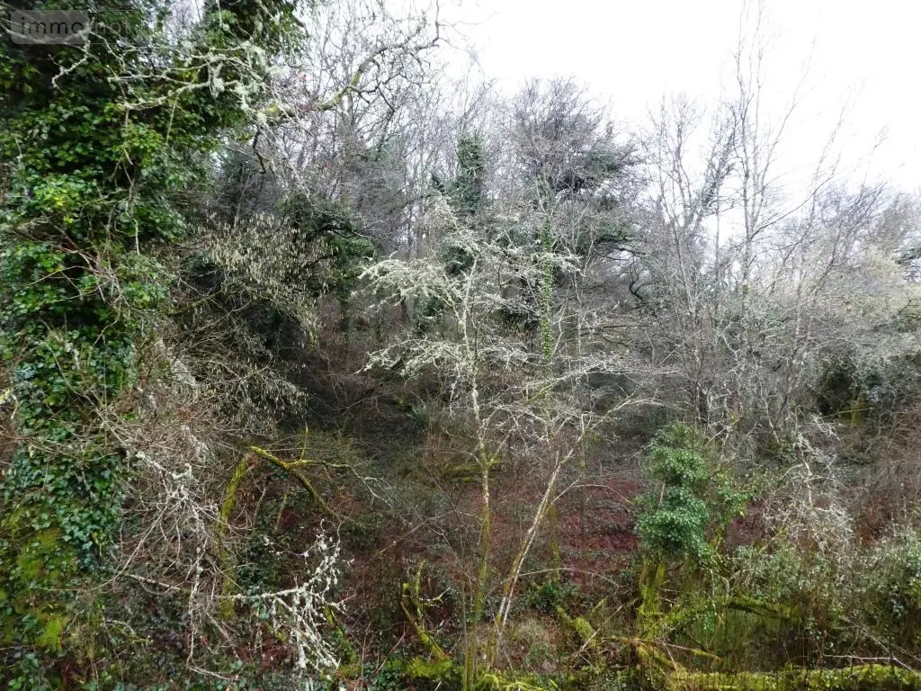Terrains de loisirs bois etangs a vendre Saint-Tugdual 56540 Morbihan 56 10600 euros 56075-2343 006
