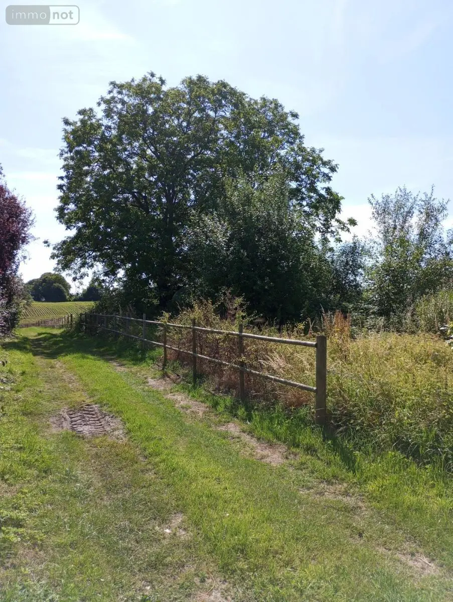 Terrain a batir a vendre La Flamengrie 02260 Aisne 02 63000 euros 02082-572 003