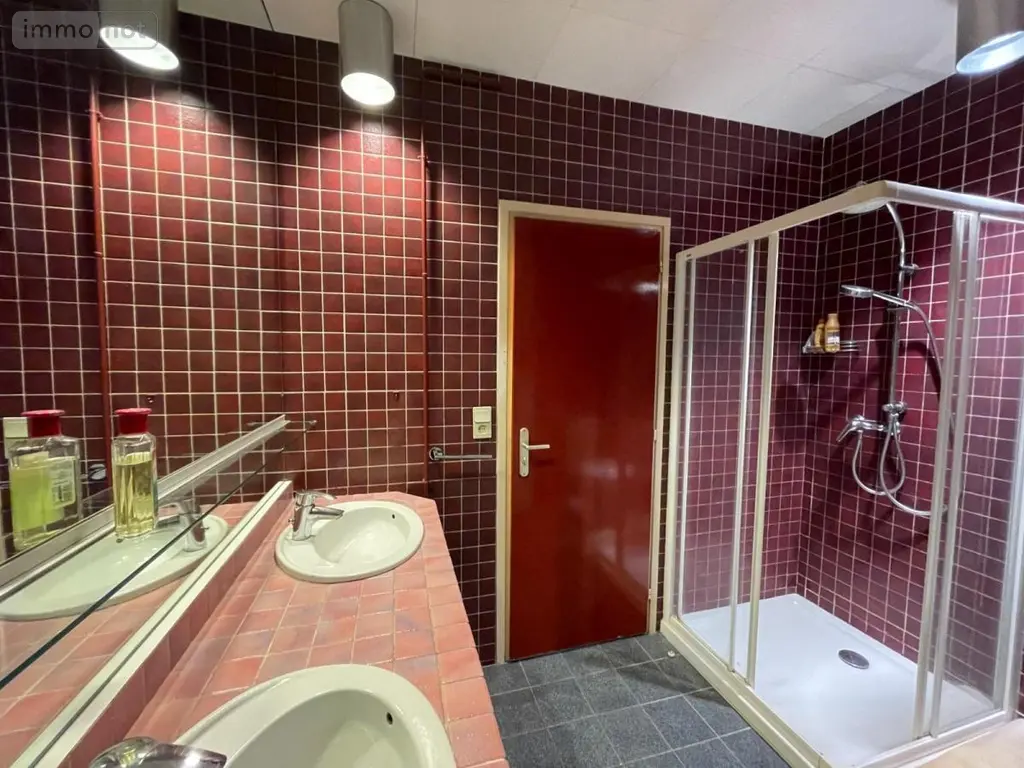 Appartement a vendre Barberaz 73000 Savoie 73 112 m2 5 pièces 345000 euros 73006-82 005