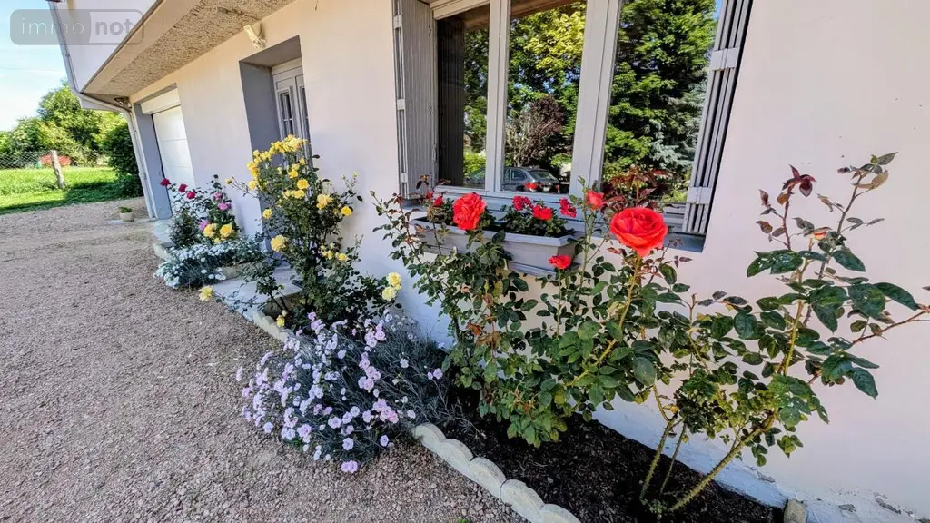 Maison a vendre Cusset 03300 Allier 03 161 m2 6 pièces 299000 euros 03019-176 004