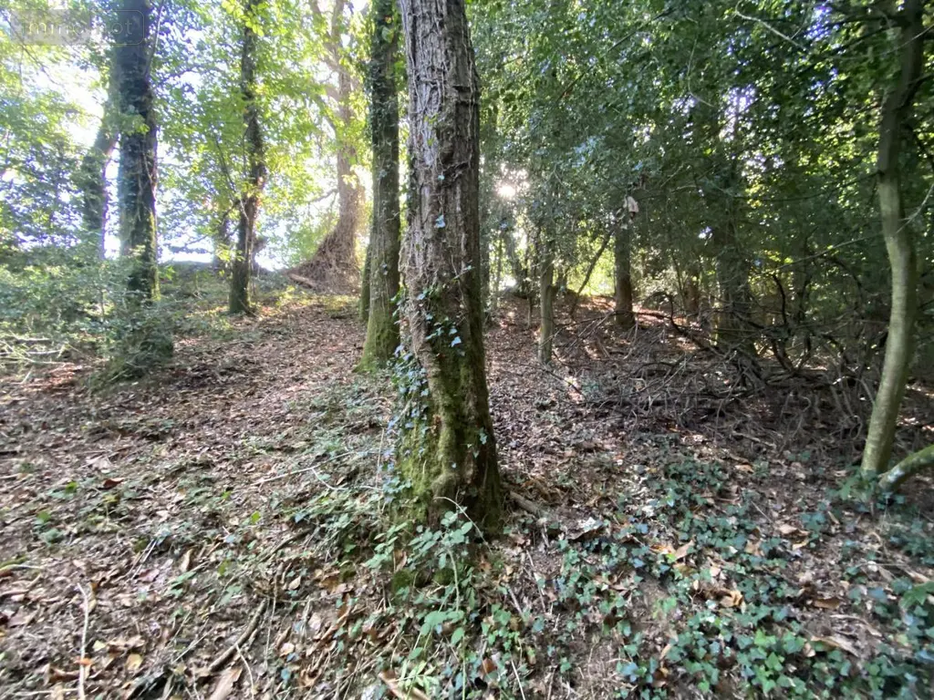 Maison a vendre Saint-Jean-Brévelay 56660 Morbihan 56 47 m2 2 pièces 59000 euros 56056-196 014
