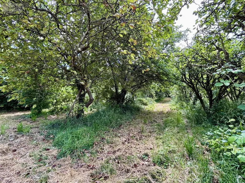 Maison a vendre Juillé 72170 Sarthe 72 93 m2 4 pièces 126000 euros 72126-3224 015