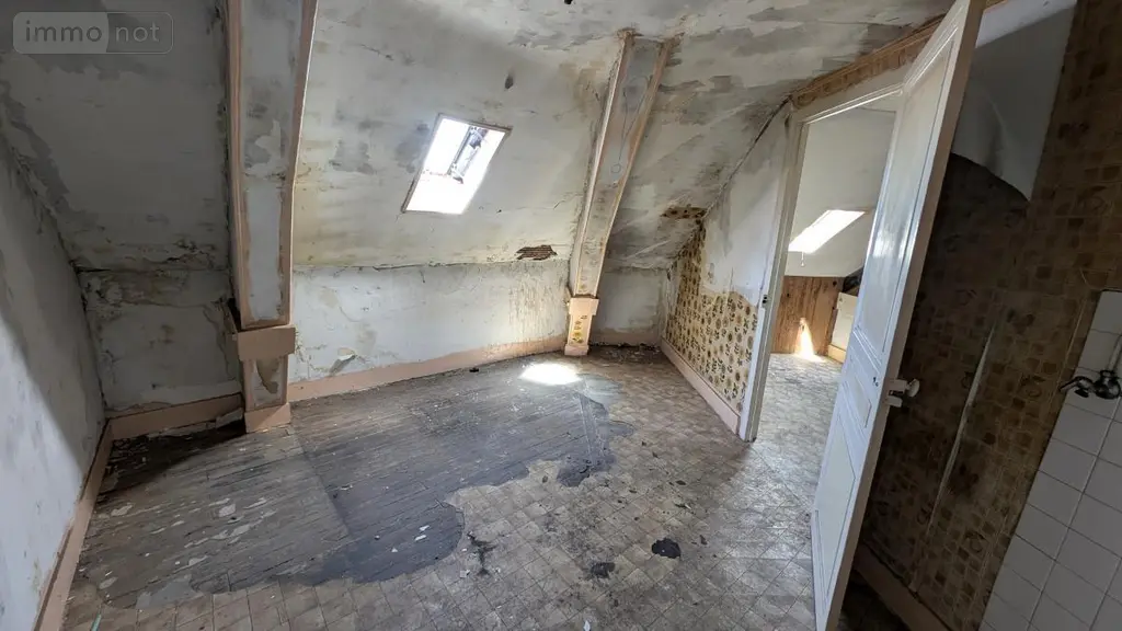 Immeuble de rapport a vendre Vichy 03200 Allier 03 588 m2 398240 euros 03019-167 051