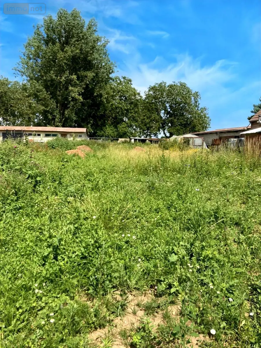 Terrain a batir a vendre Ficheux 62173 Pas-de-Calais 62 42680 euros D038-871 002