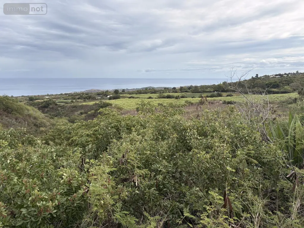 Terrain a batir a vendre Saint-Paul 97460 La Réunion 974 315000 euros 97409-348 005