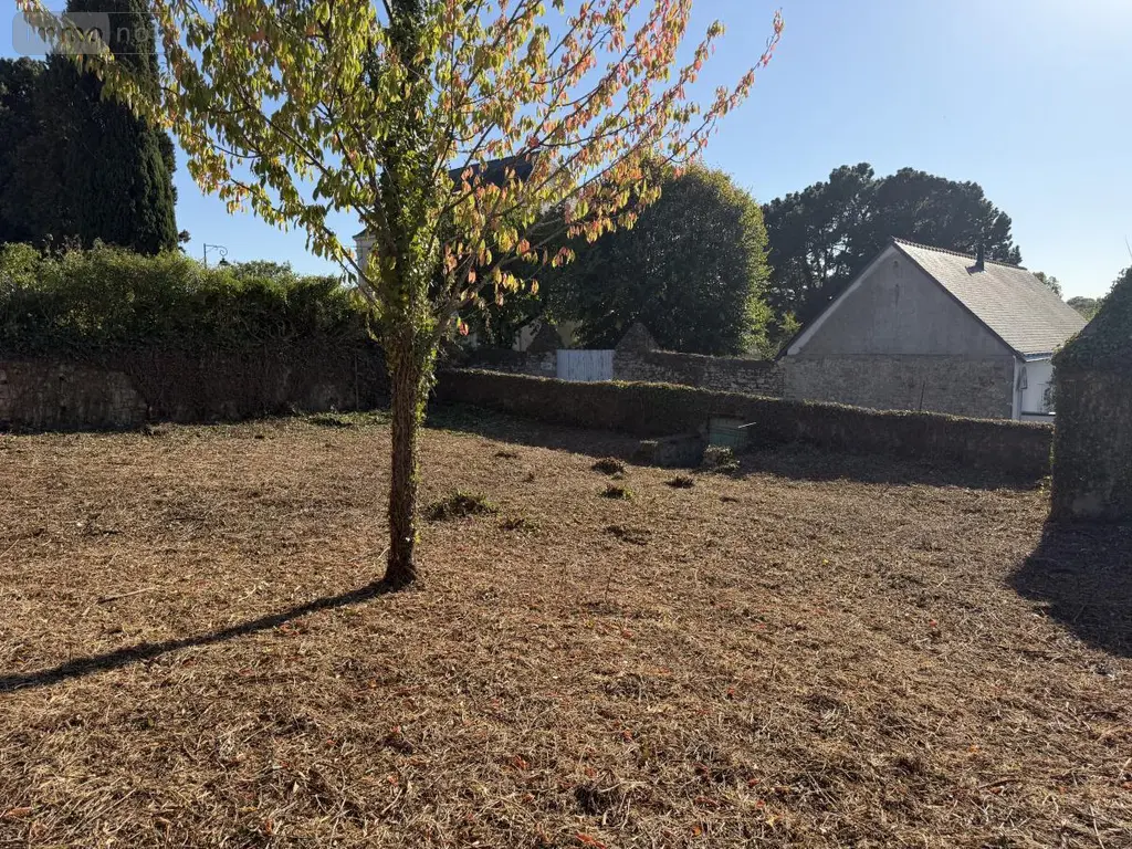 Terrain a batir a vendre Grez-Neuville 49220 Maine-et-Loire 49 23600 euros 49098-1317 002