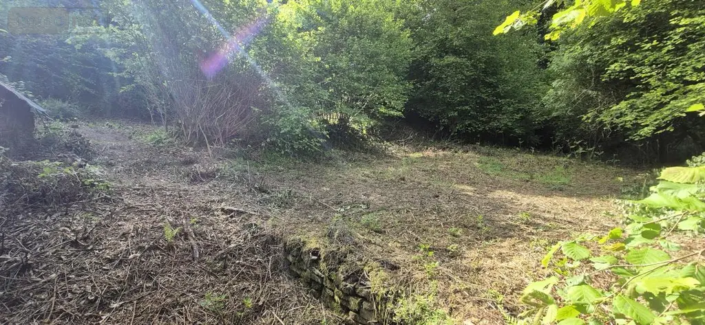 Maison a vendre Larré 56230 Morbihan 56 74 m2 53500 euros 56013-879 006
