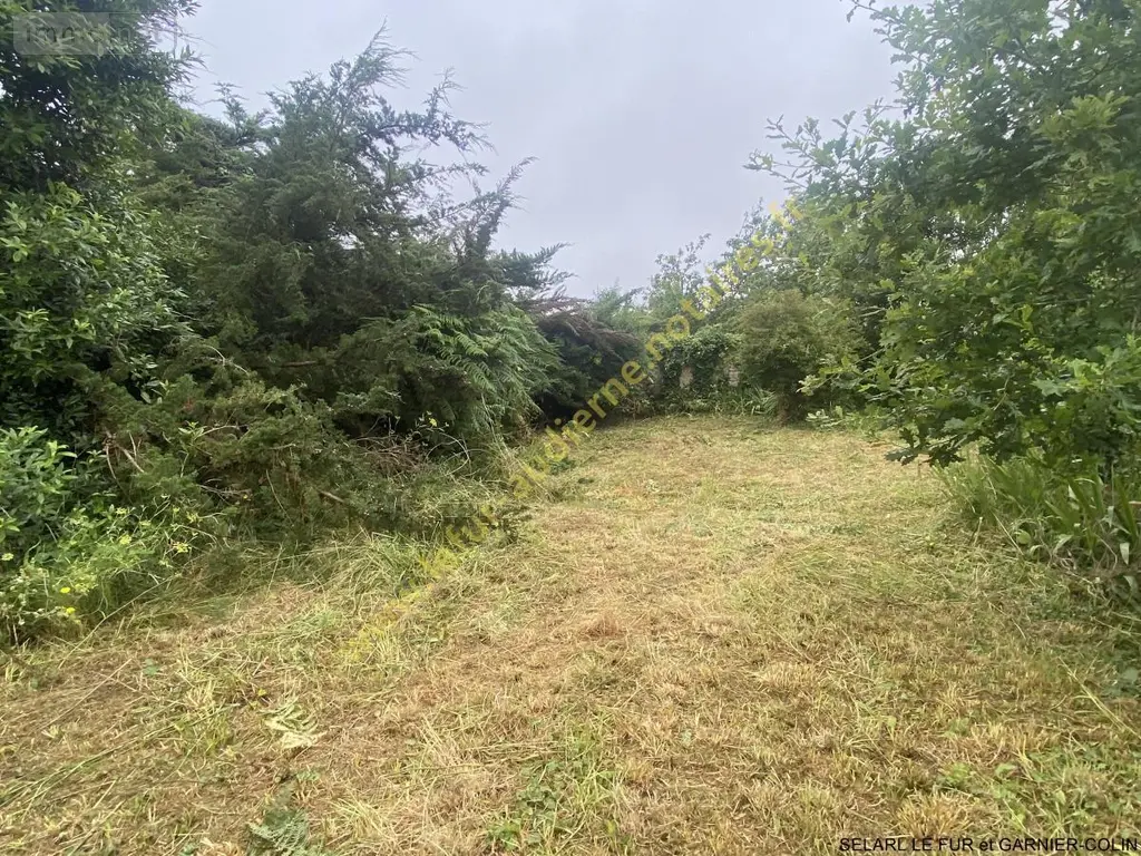 Maison a vendre Esquibien 29770 Finistère 29 74 m2 4 pièces 136050 euros 29021-2120 015