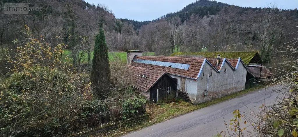 Maison a vendre Le Saulcy 88210 Vosges 88 210 m2 148400 euros 88061-817 020